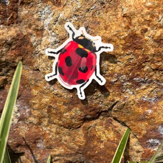 The Ladybug - Katie Bug