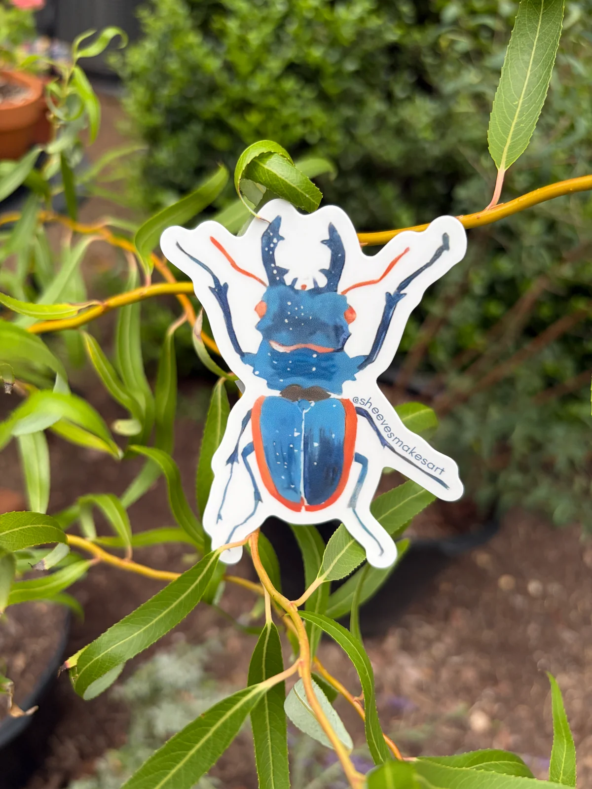 The Blue Stag Beetle - Calypso